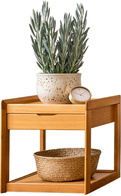 Isolated Pot Plant on a Side Table on White